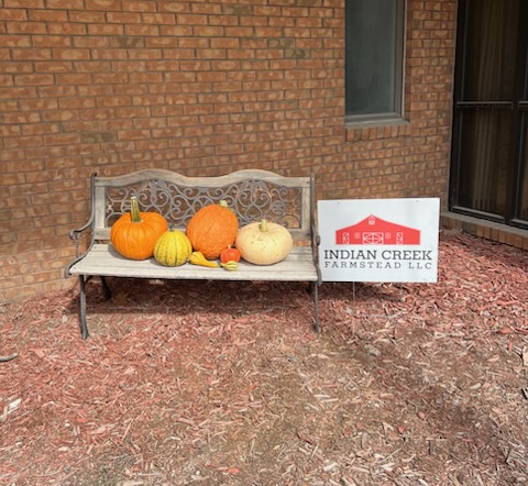 Bench